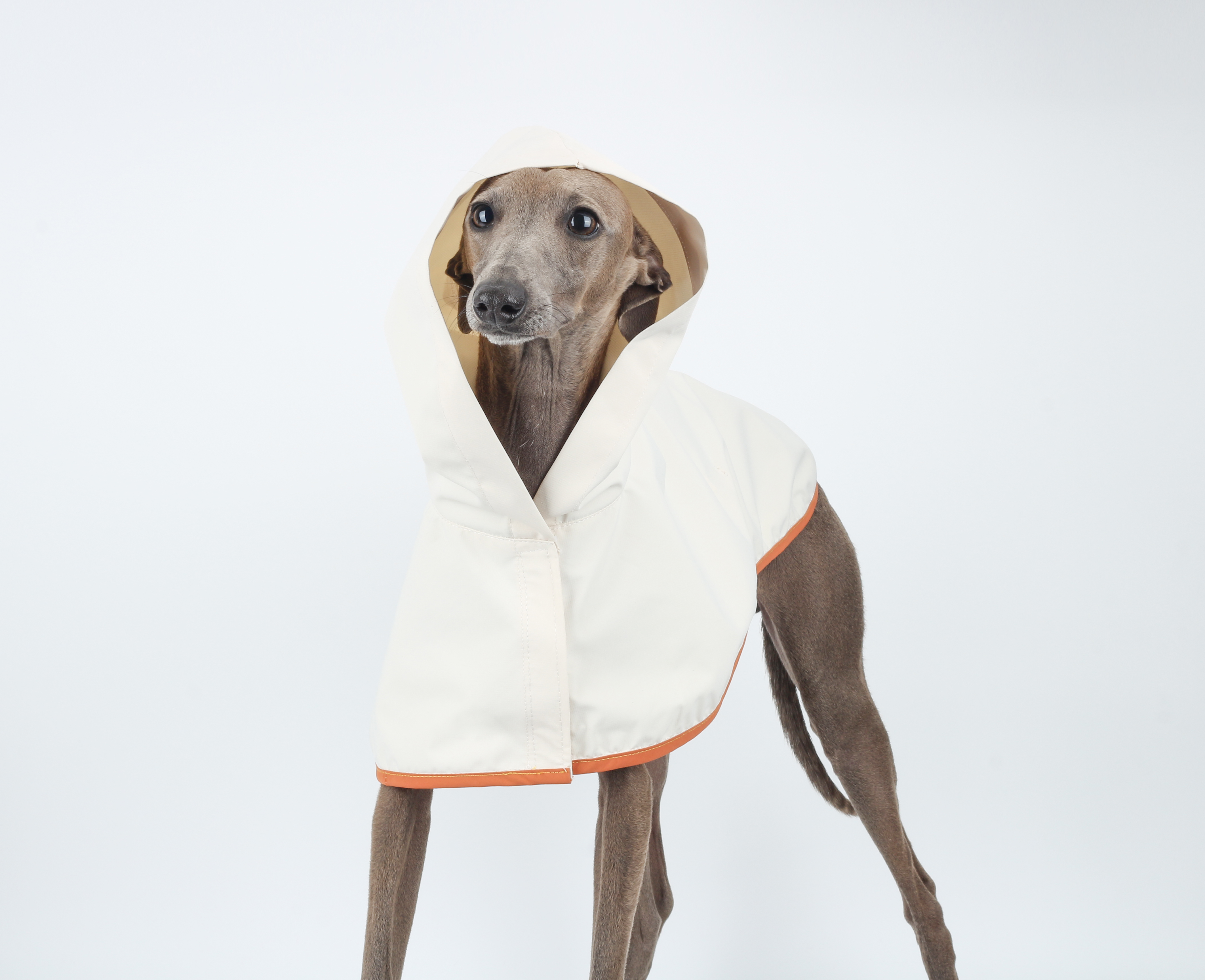 Ivory Pure Raincoat