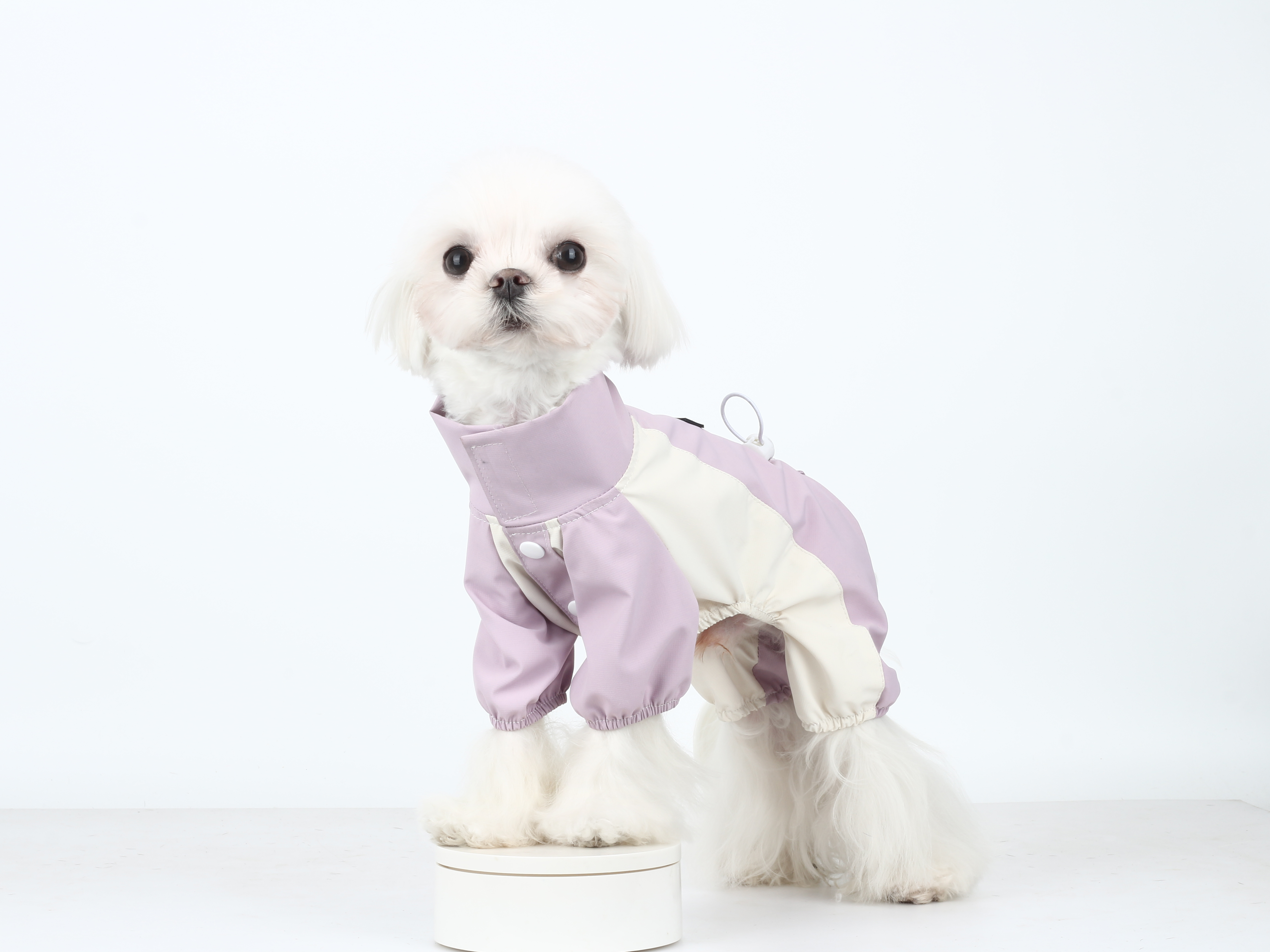 Lavender Rain Shell